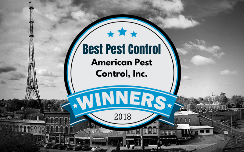 Best Pest Control